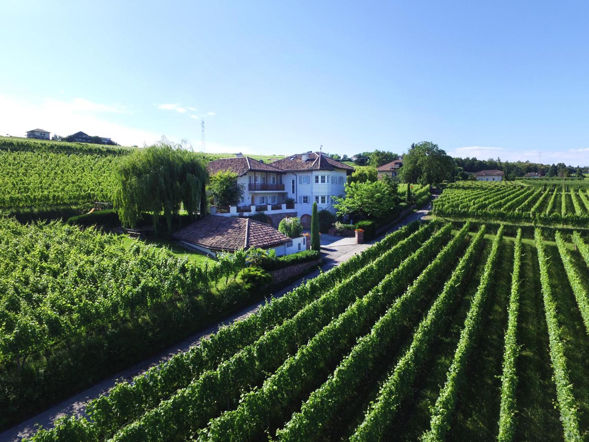 Weinhof Mumelter Lejlighed Eppan an der Weinstraße Eksteriør billede
